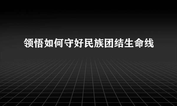 领悟如何守好民族团结生命线