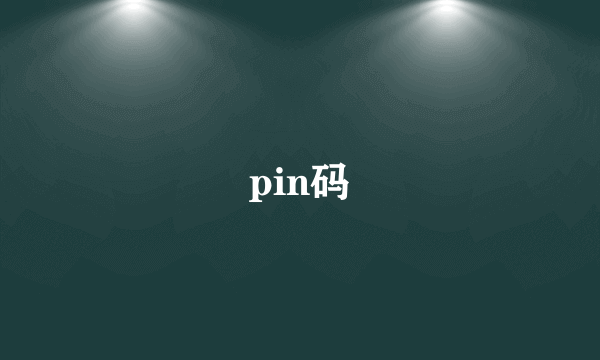 pin码