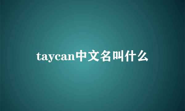 taycan中文名叫什么