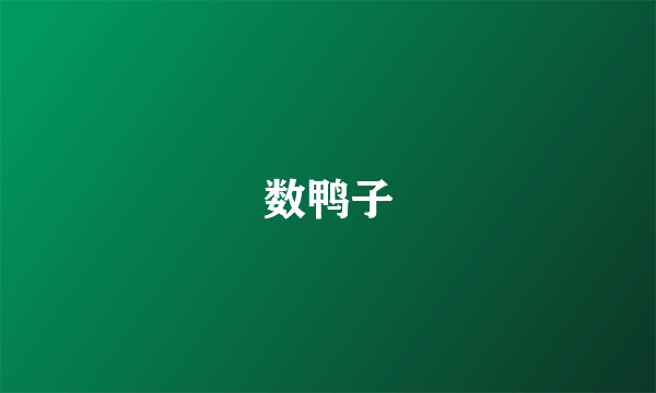 数鸭子