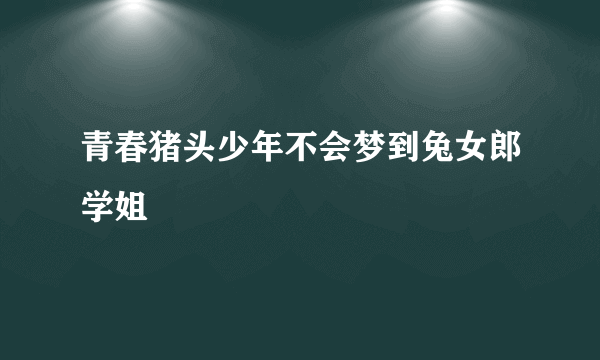 青春猪头少年不会梦到兔女郎学姐