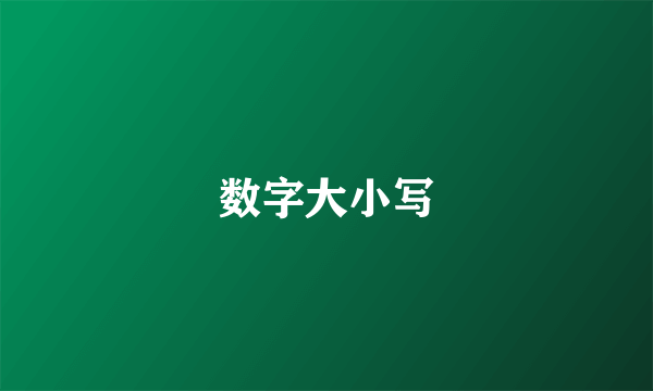 数字大小写