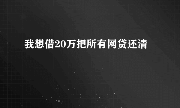 我想借20万把所有网贷还清