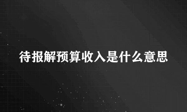 待报解预算收入是什么意思