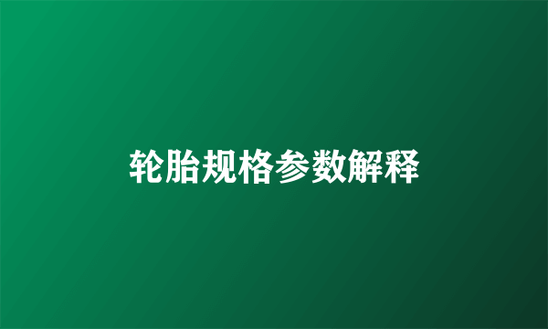 轮胎规格参数解释