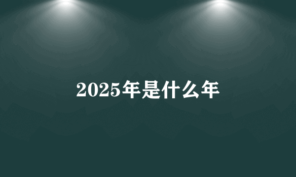 2025年是什么年