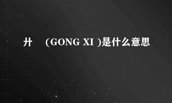 廾匸 (GONG XI )是什么意思