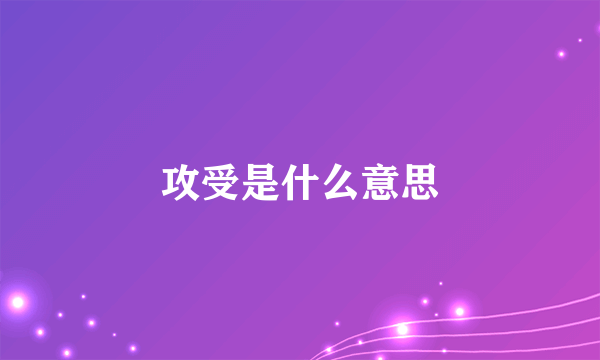 攻受是什么意思