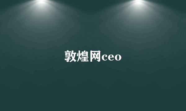 敦煌网ceo