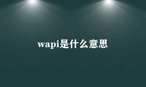 wapi是什么意思