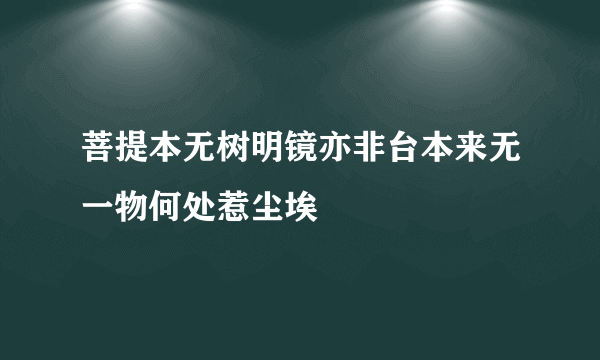 菩提本无树明镜亦非台本来无一物何处惹尘埃