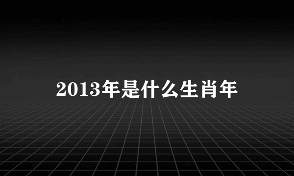 2013年是什么生肖年