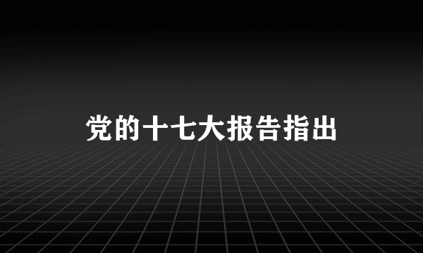 党的十七大报告指出