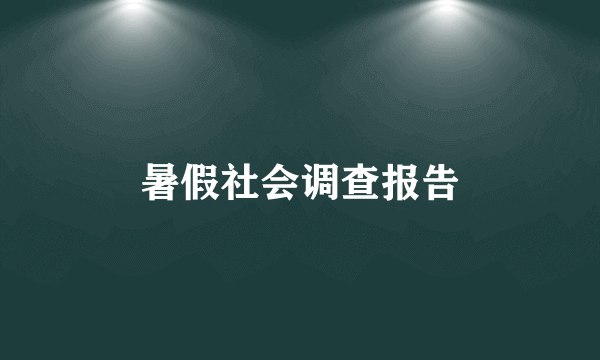 暑假社会调查报告