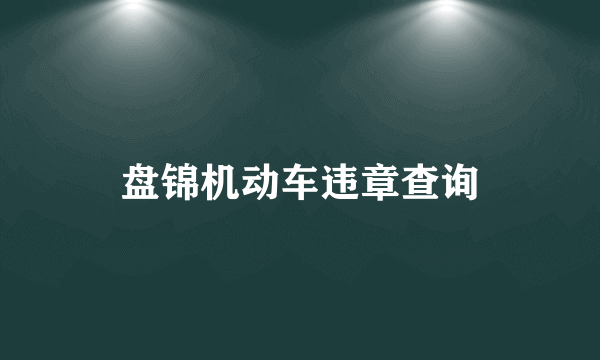 盘锦机动车违章查询