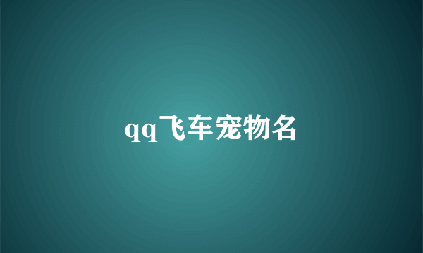 qq飞车宠物名