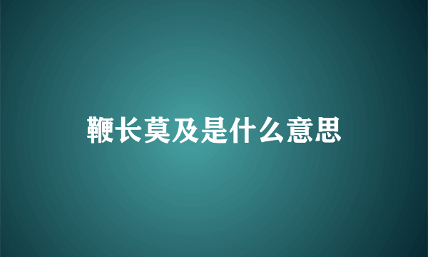 鞭长莫及是什么意思