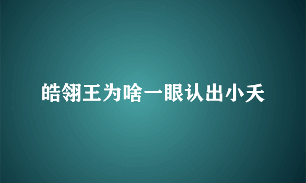 皓翎王为啥一眼认出小夭