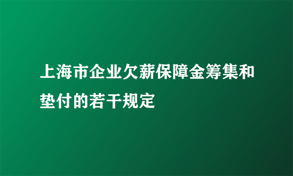 上海市企业欠薪保障金筹集和垫付的若干规定