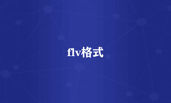 flv格式