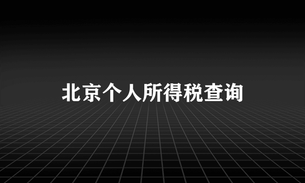 北京个人所得税查询