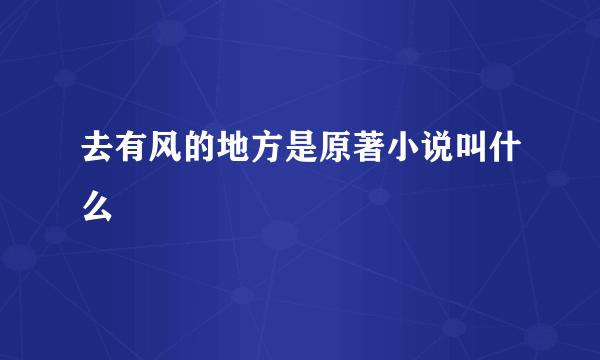 去有风的地方是原著小说叫什么