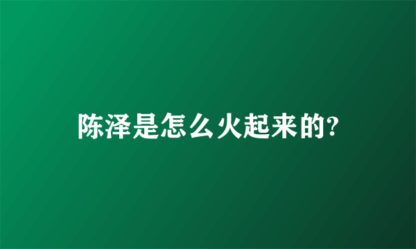 陈泽是怎么火起来的?