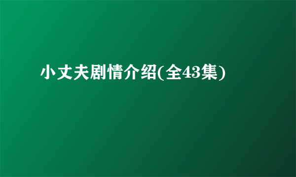 小丈夫剧情介绍(全43集)