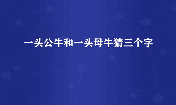 一头公牛和一头母牛猜三个字