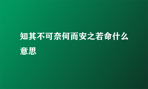 知其不可奈何而安之若命什么意思