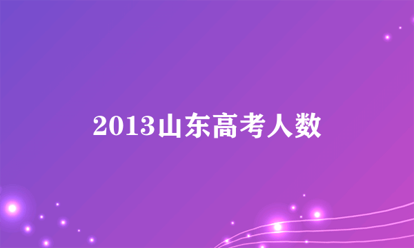 2013山东高考人数