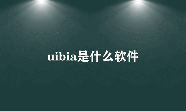 uibia是什么软件