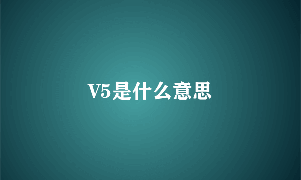 V5是什么意思