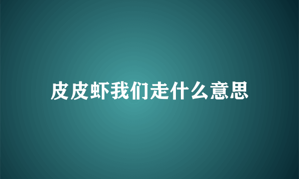 皮皮虾我们走什么意思