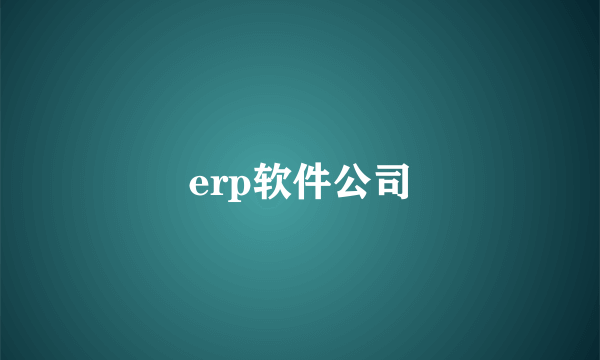 erp软件公司