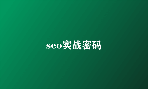 seo实战密码