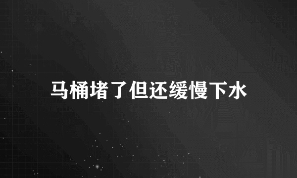 马桶堵了但还缓慢下水