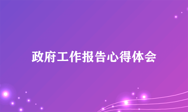 政府工作报告心得体会