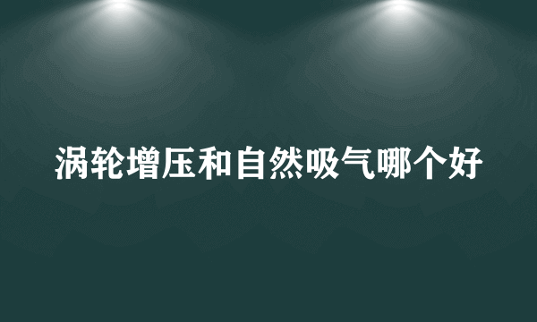 涡轮增压和自然吸气哪个好