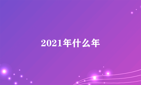 2021年什么年