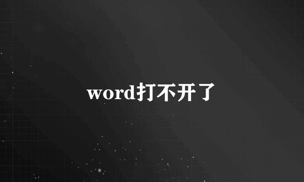 word打不开了