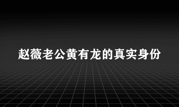 赵薇老公黄有龙的真实身份