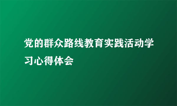 党的群众路线教育实践活动学习心得体会