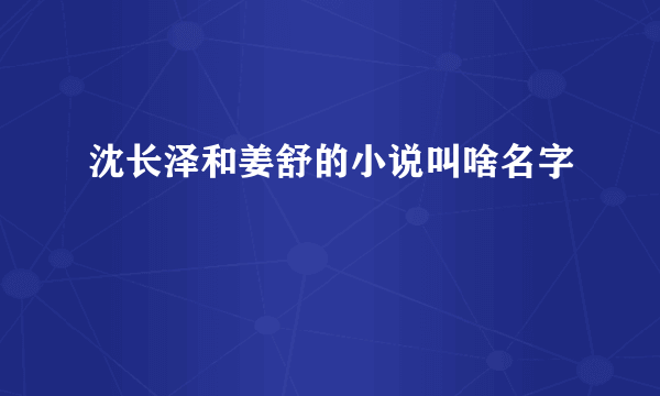 沈长泽和姜舒的小说叫啥名字