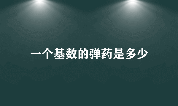 一个基数的弹药是多少