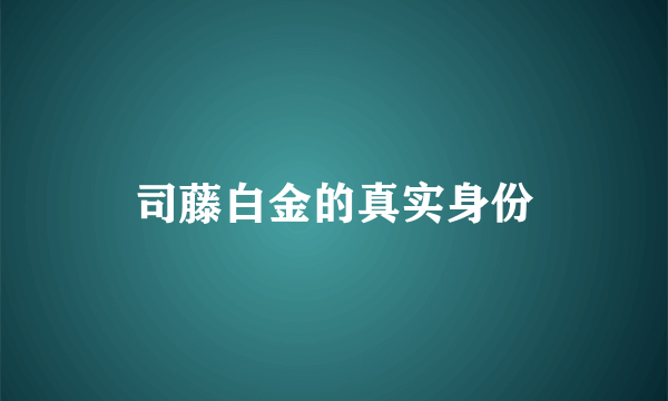 司藤白金的真实身份