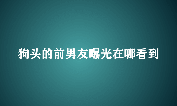 狗头的前男友曝光在哪看到