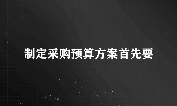 制定采购预算方案首先要