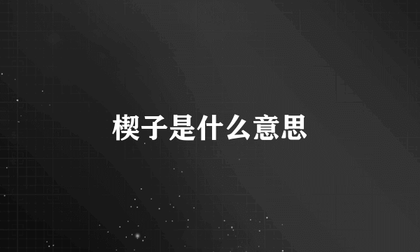 楔子是什么意思