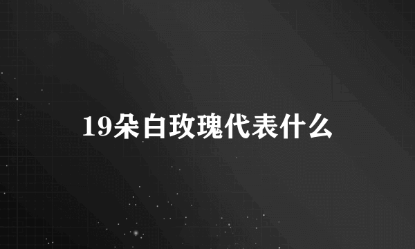 19朵白玫瑰代表什么